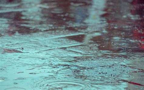 雨天照片|雨天图片